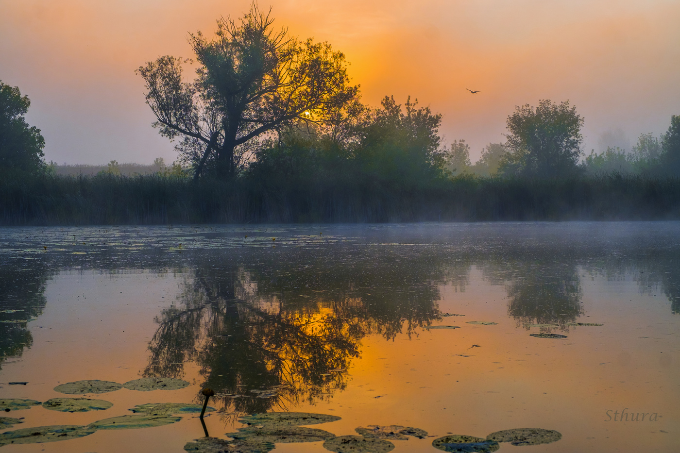 Краски утра.