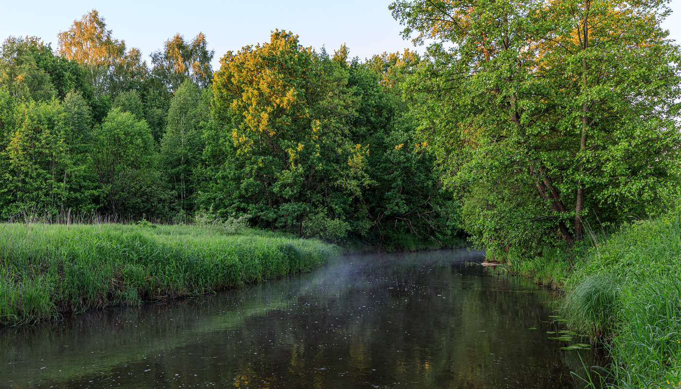 Утро на Цне