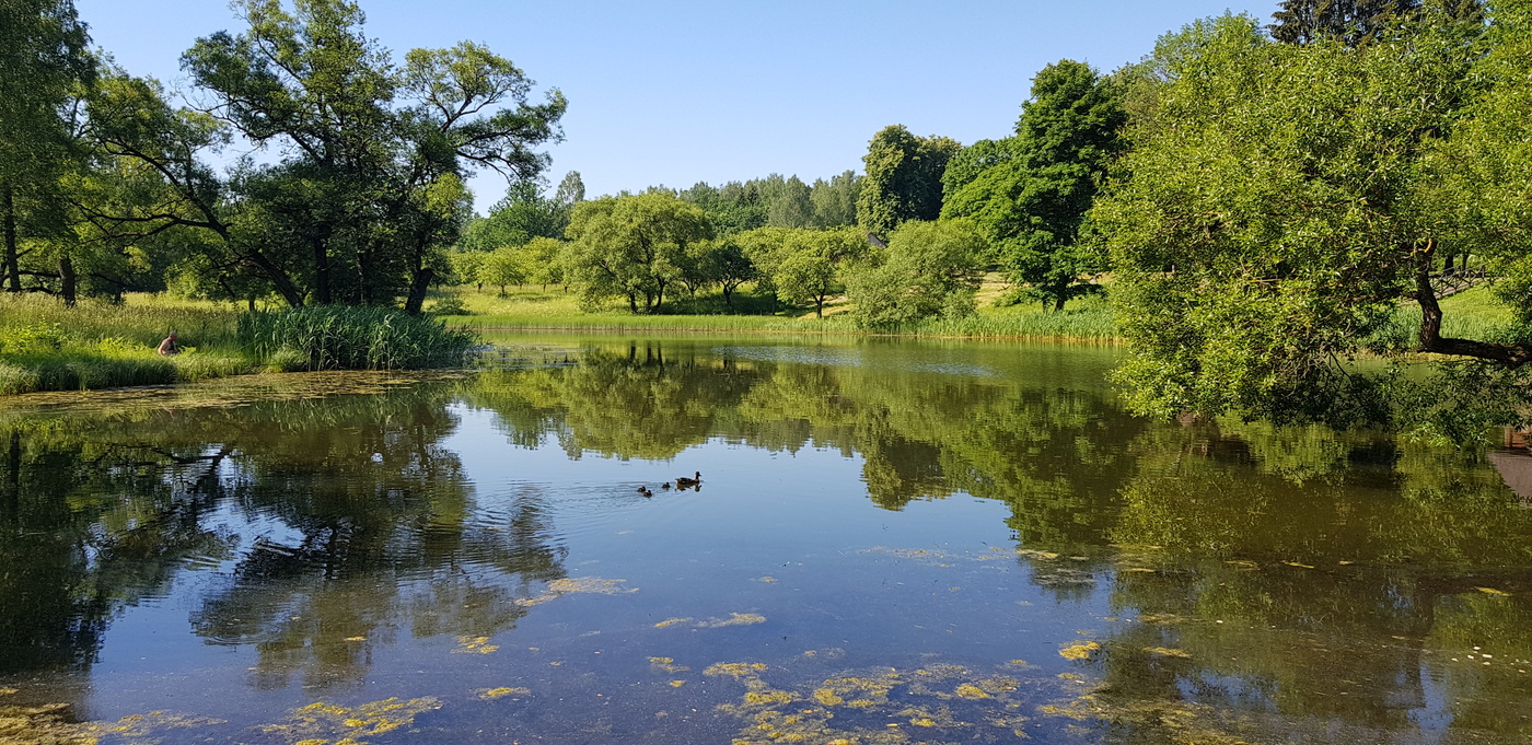 Тишина и спокойствие...