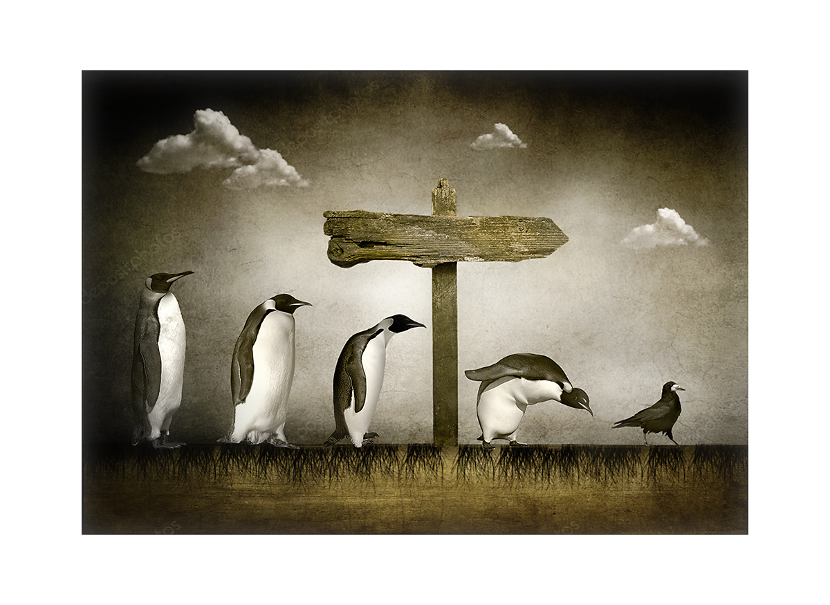 долгая дорога домой