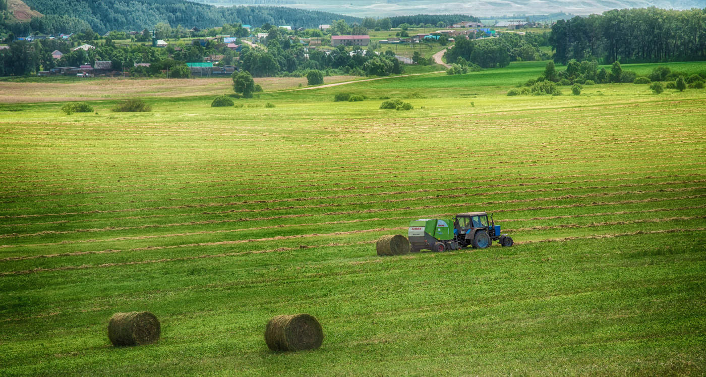 Заготовка кормов