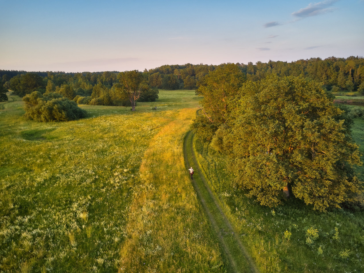 Вечер на летнем луге
