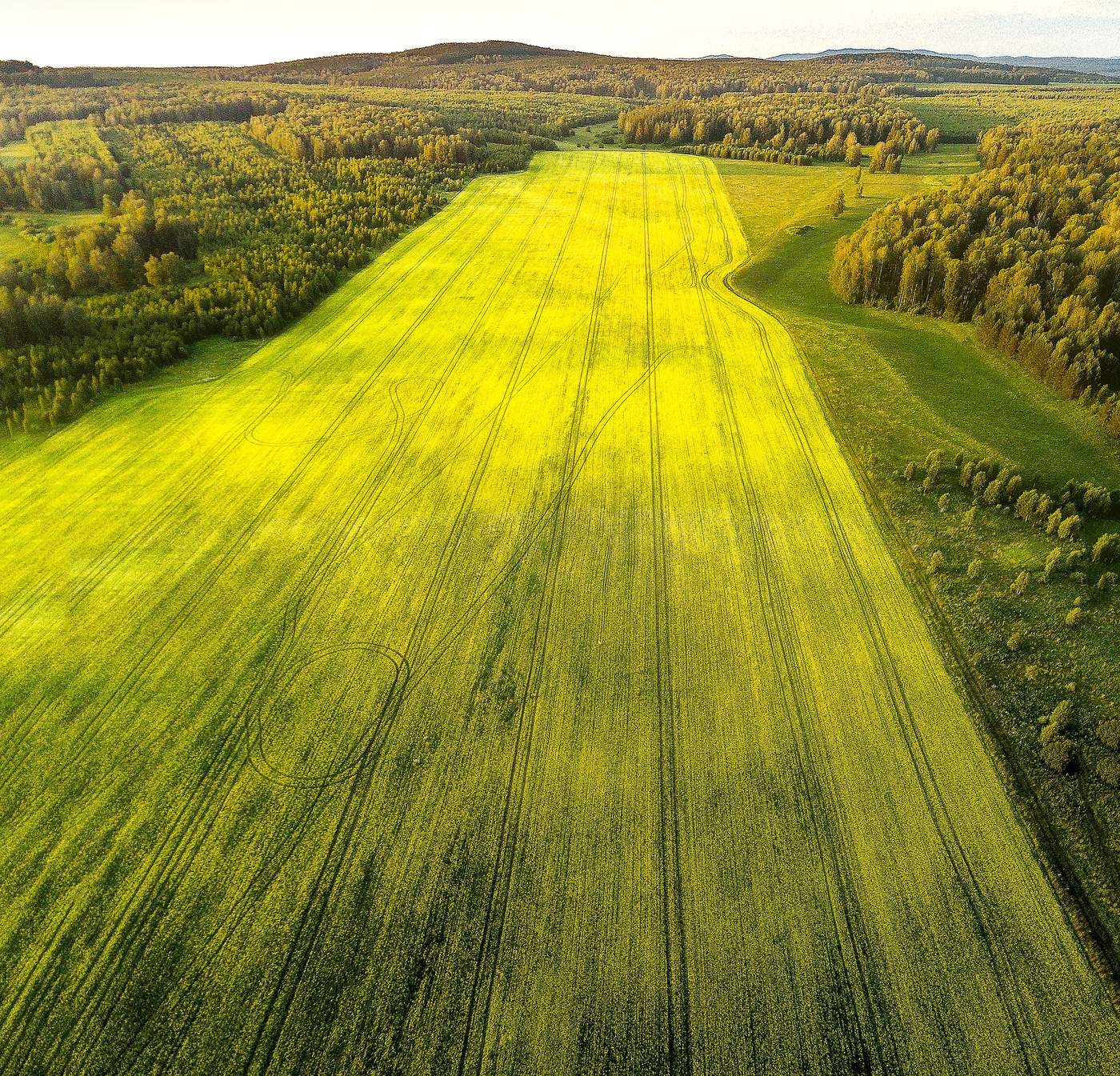 прям как взлётка