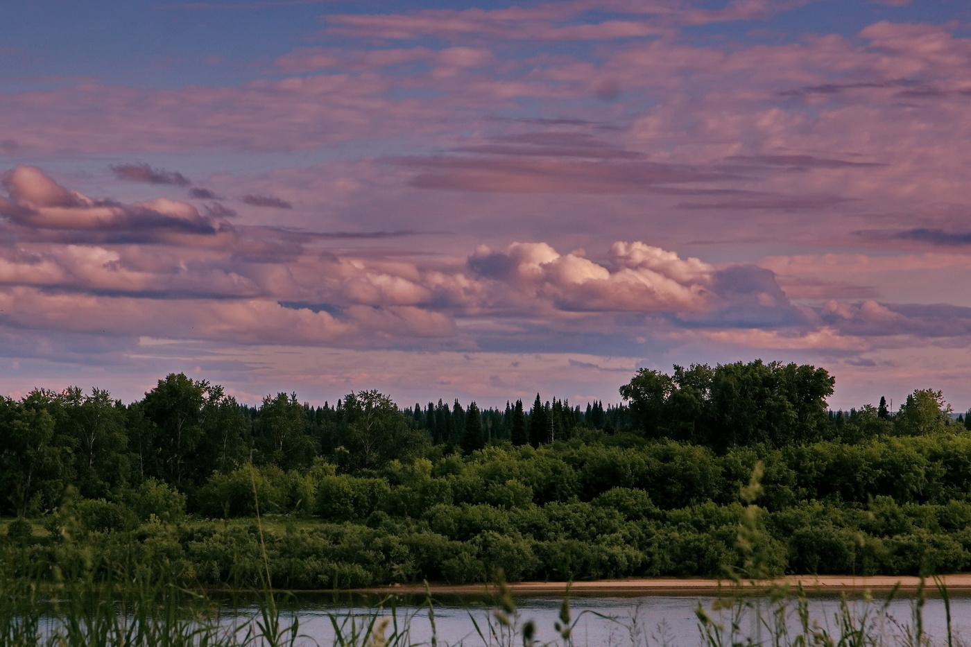 *Летним вечером.**