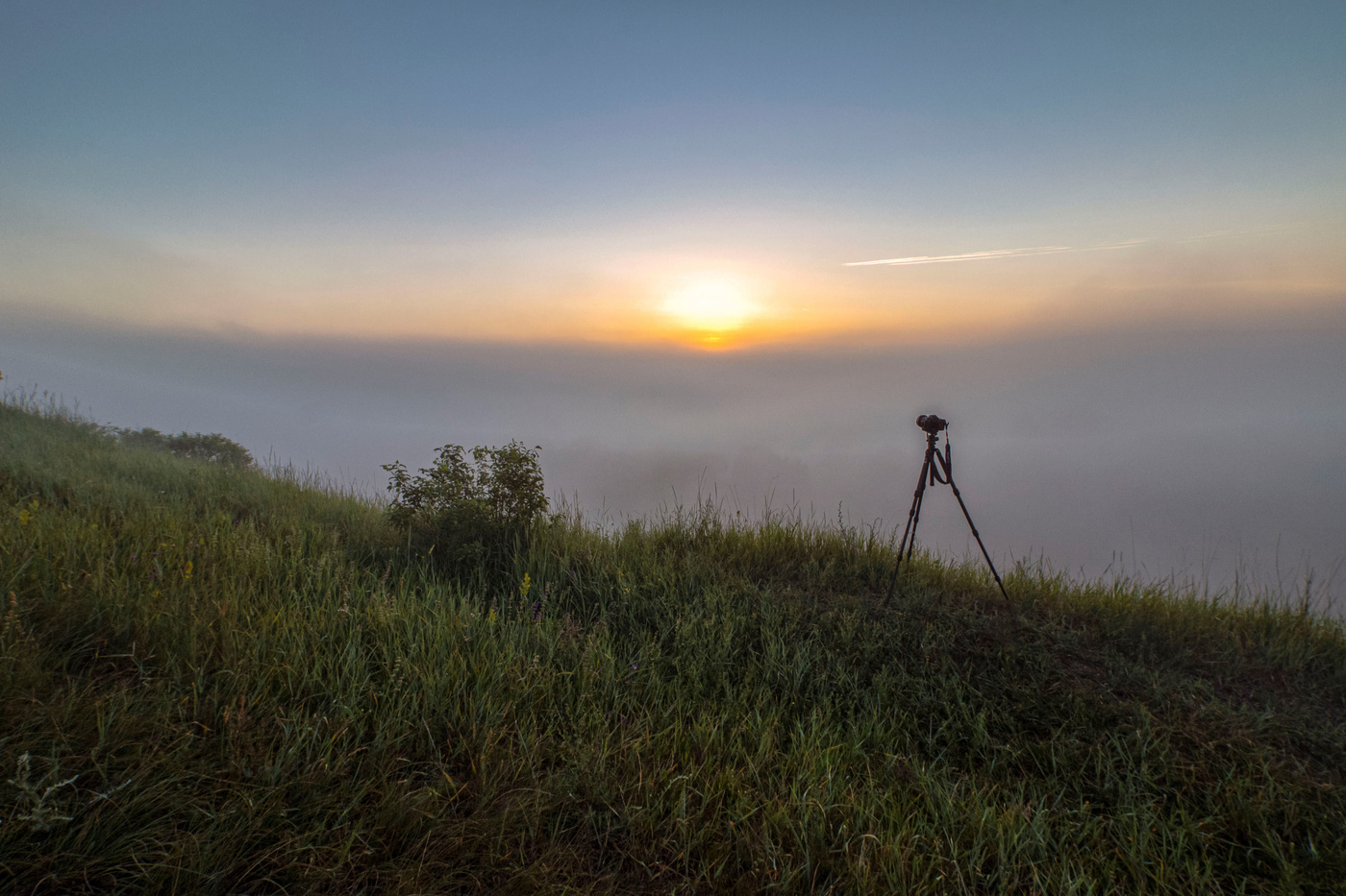 Рассветно-туманное...