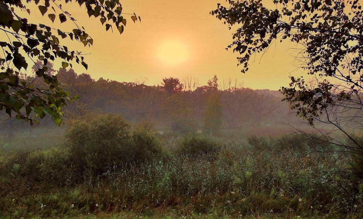 Туманное утро, жаркого летнего дня