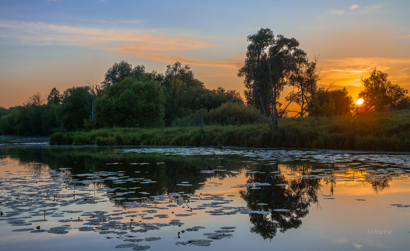 Лето. Закат.