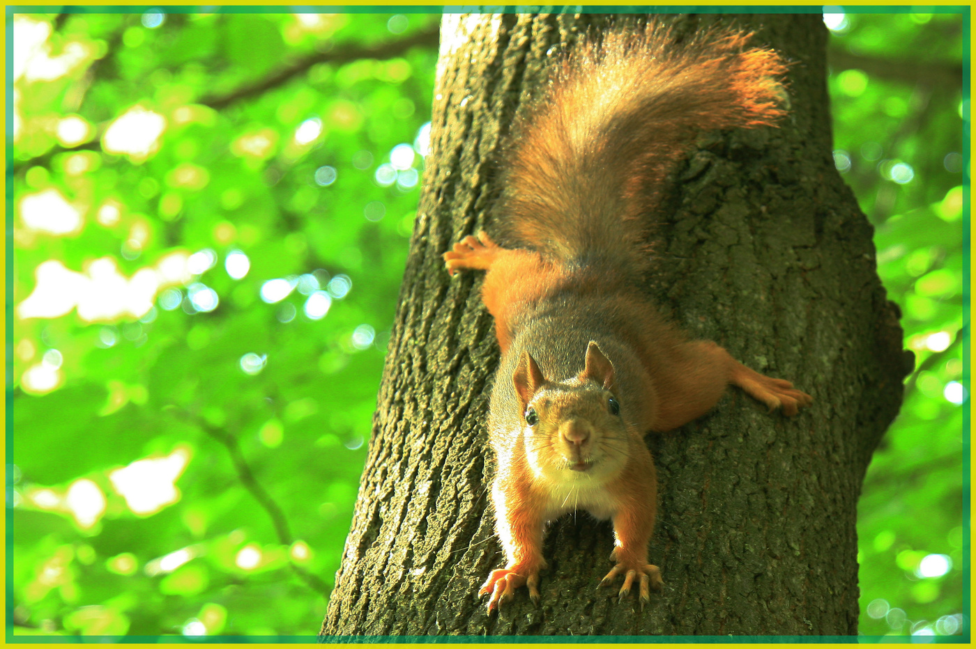 Утренняя встреча...