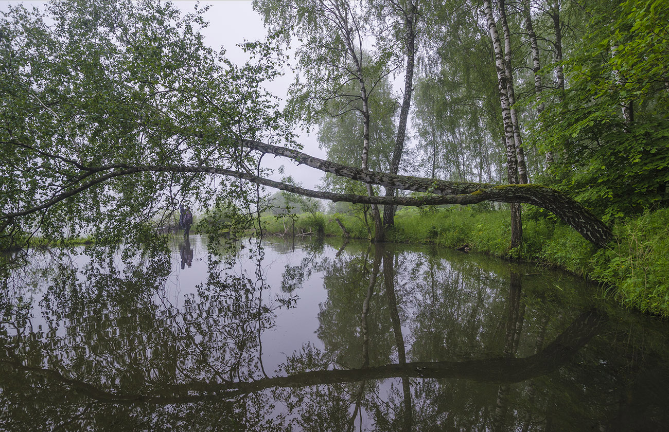 На рыбалку в июне