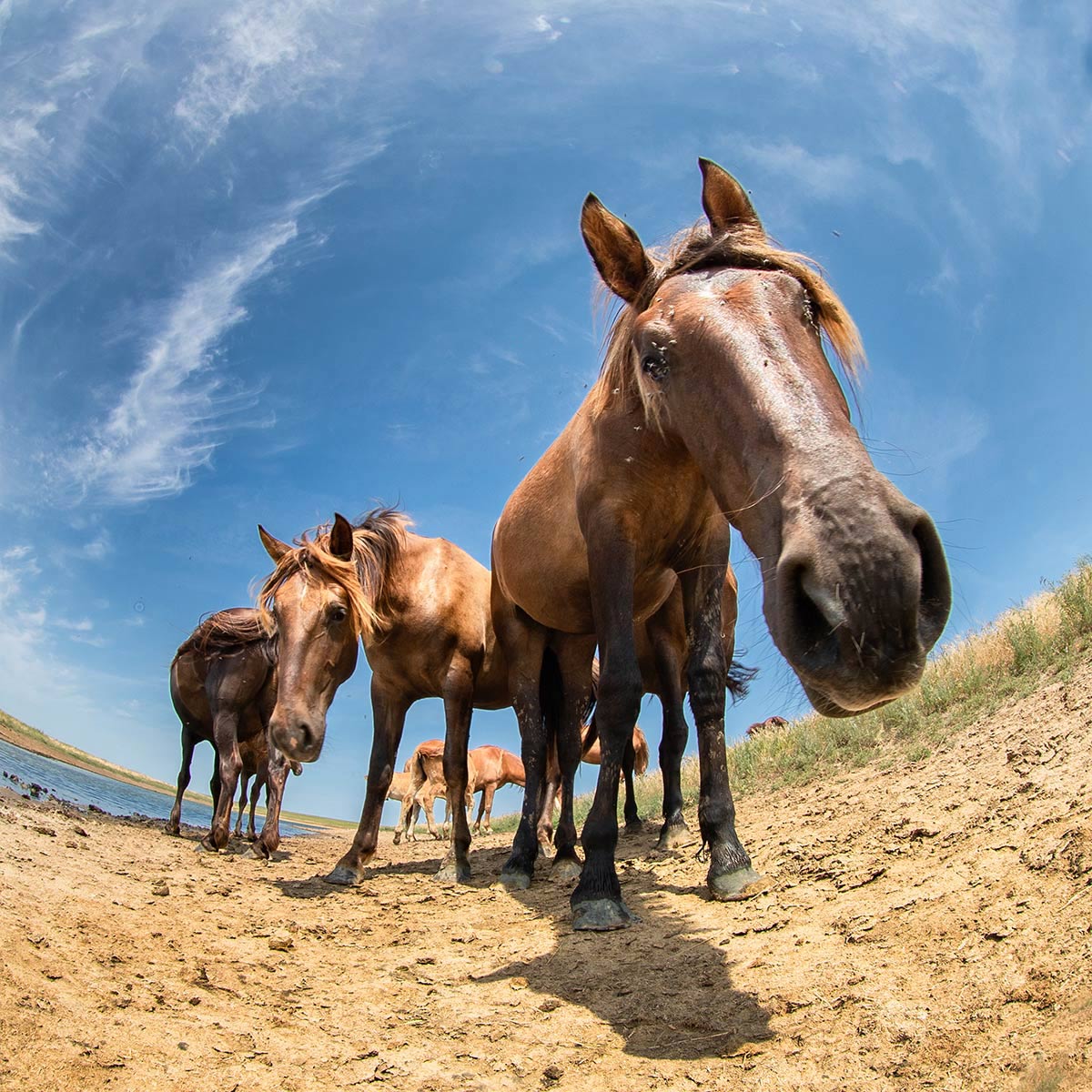 А чё это вы здесь делаете, а?