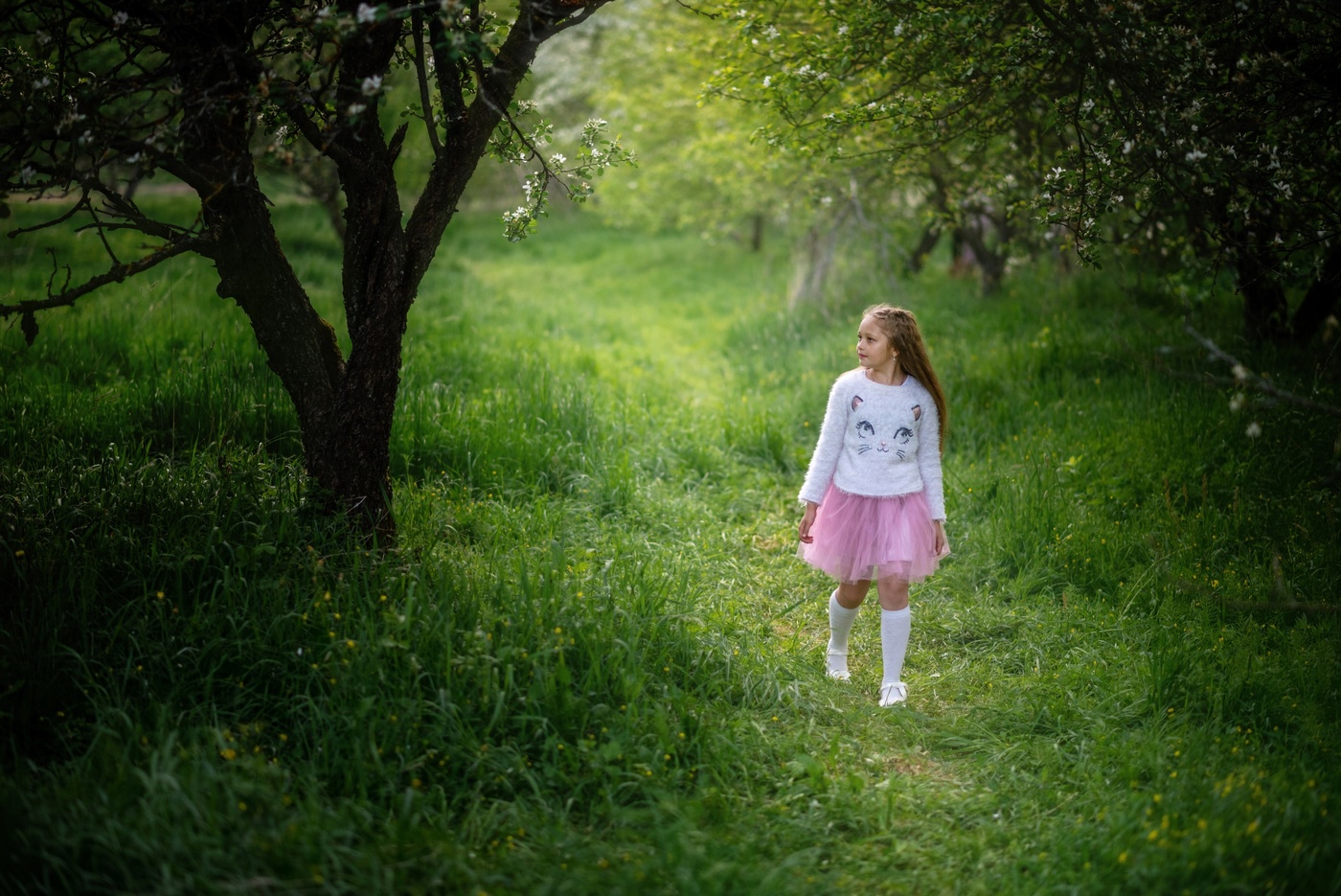 Возвращение домой