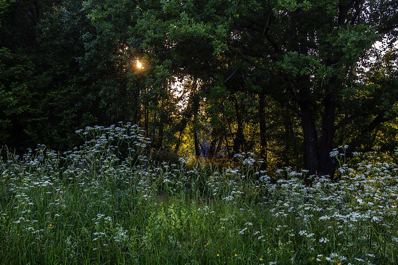 Был жаркий день...