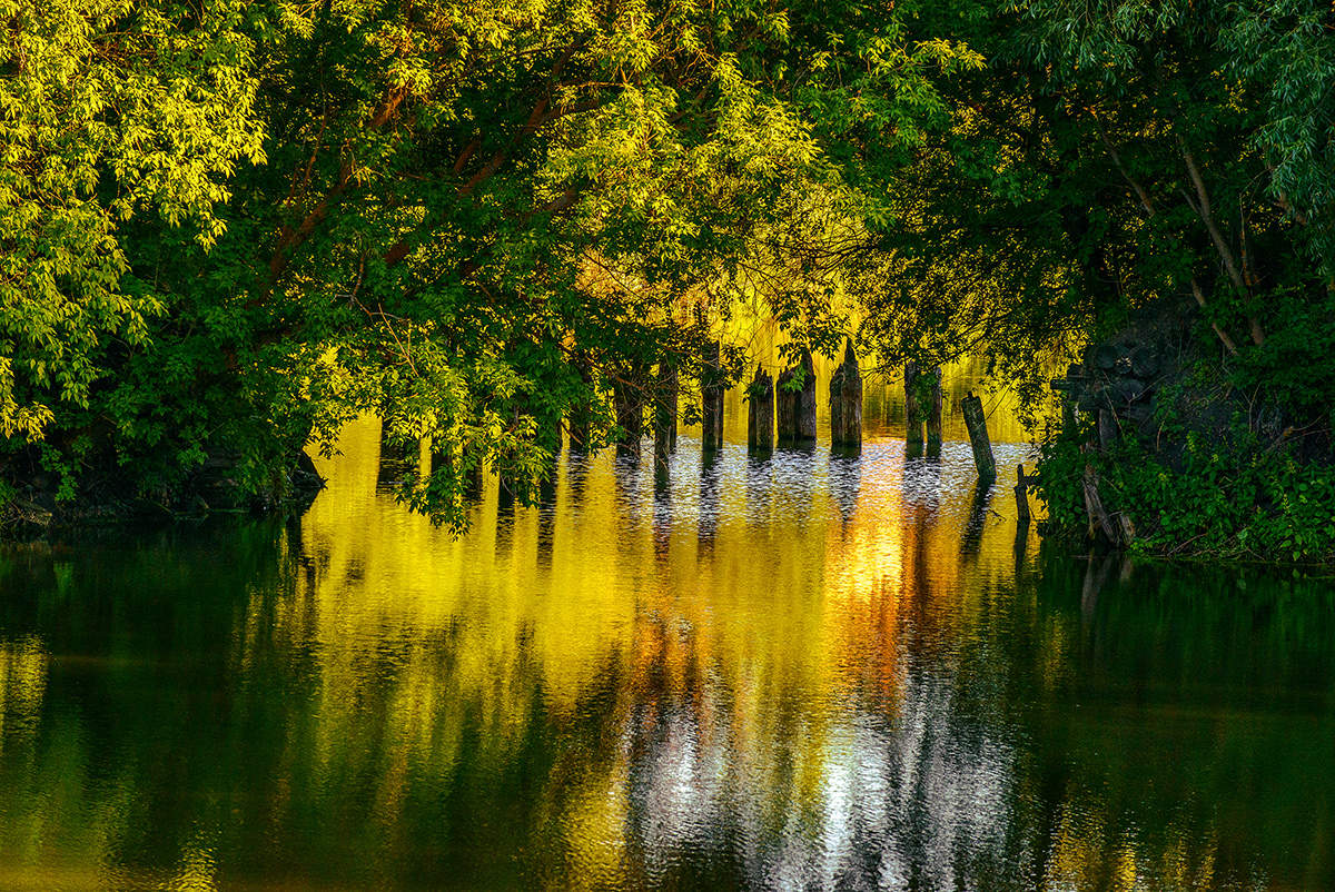 Старый пруд...