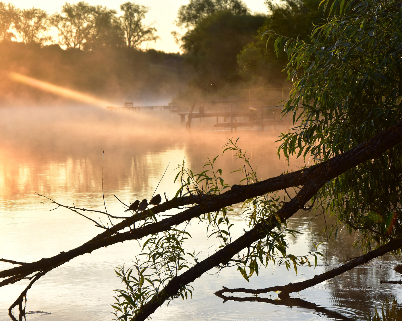 Нового дня начало...