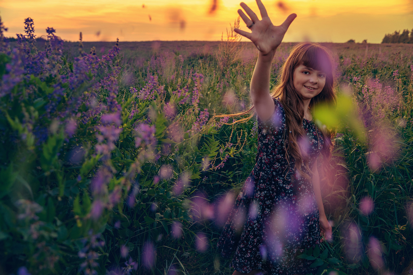 Поле с незвестными цветами