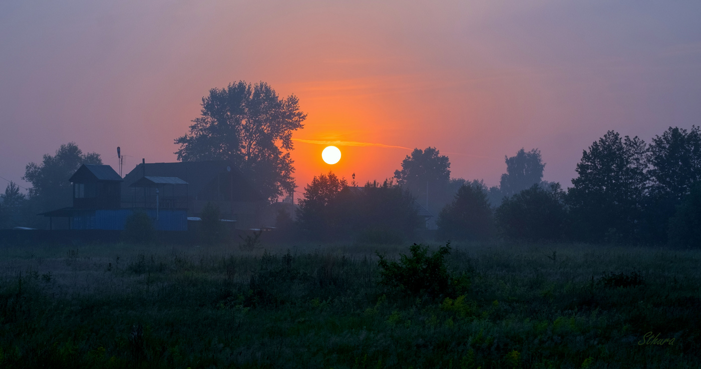 Летним утром.