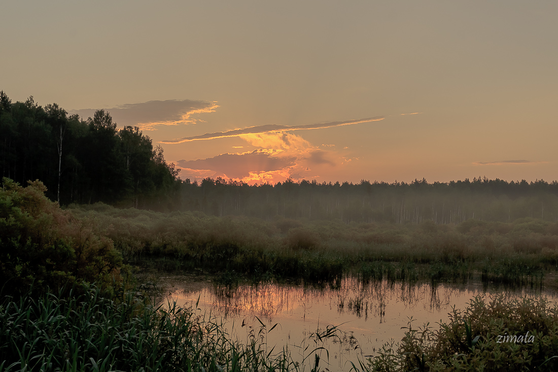 Туманность