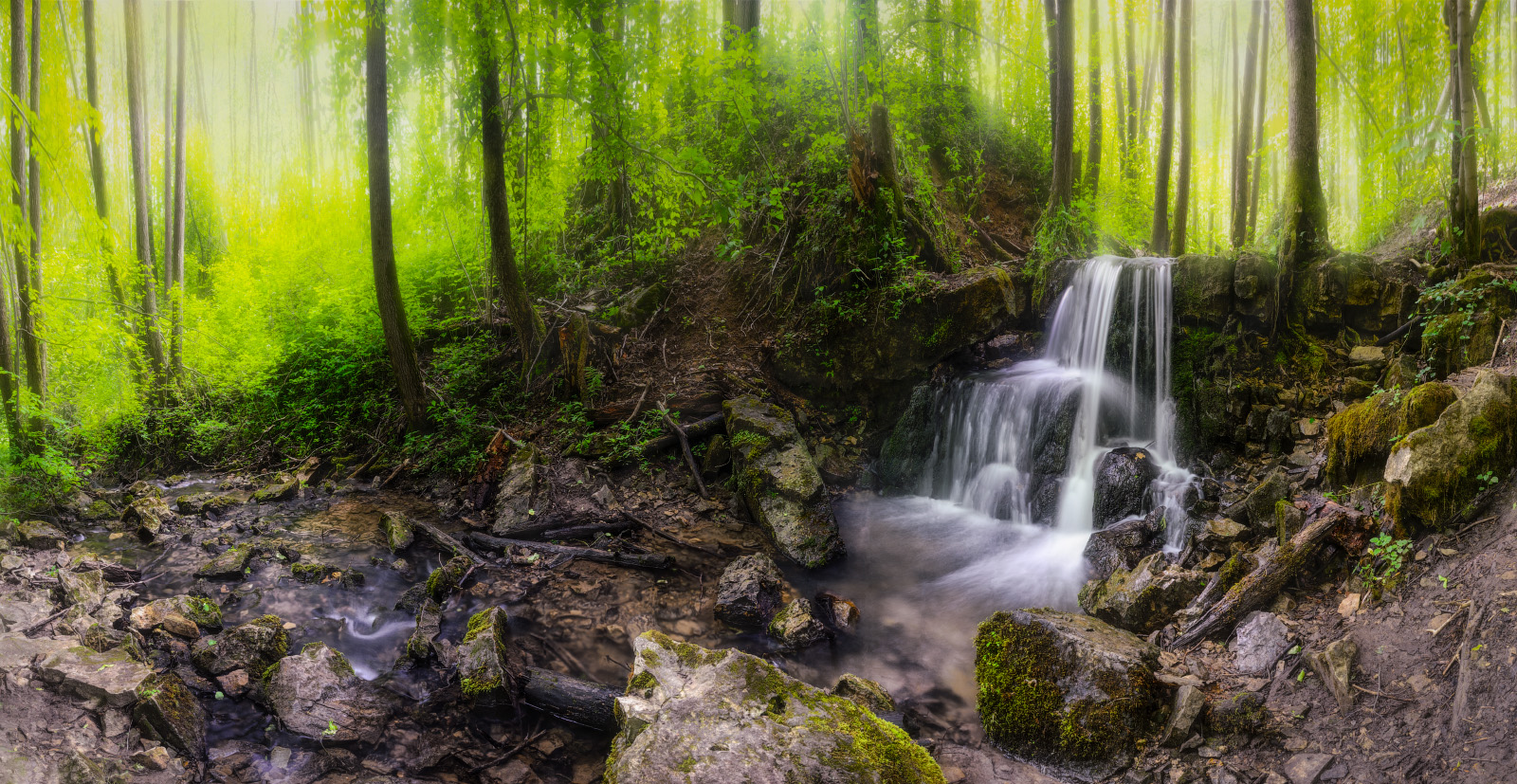 Бестенский перелом