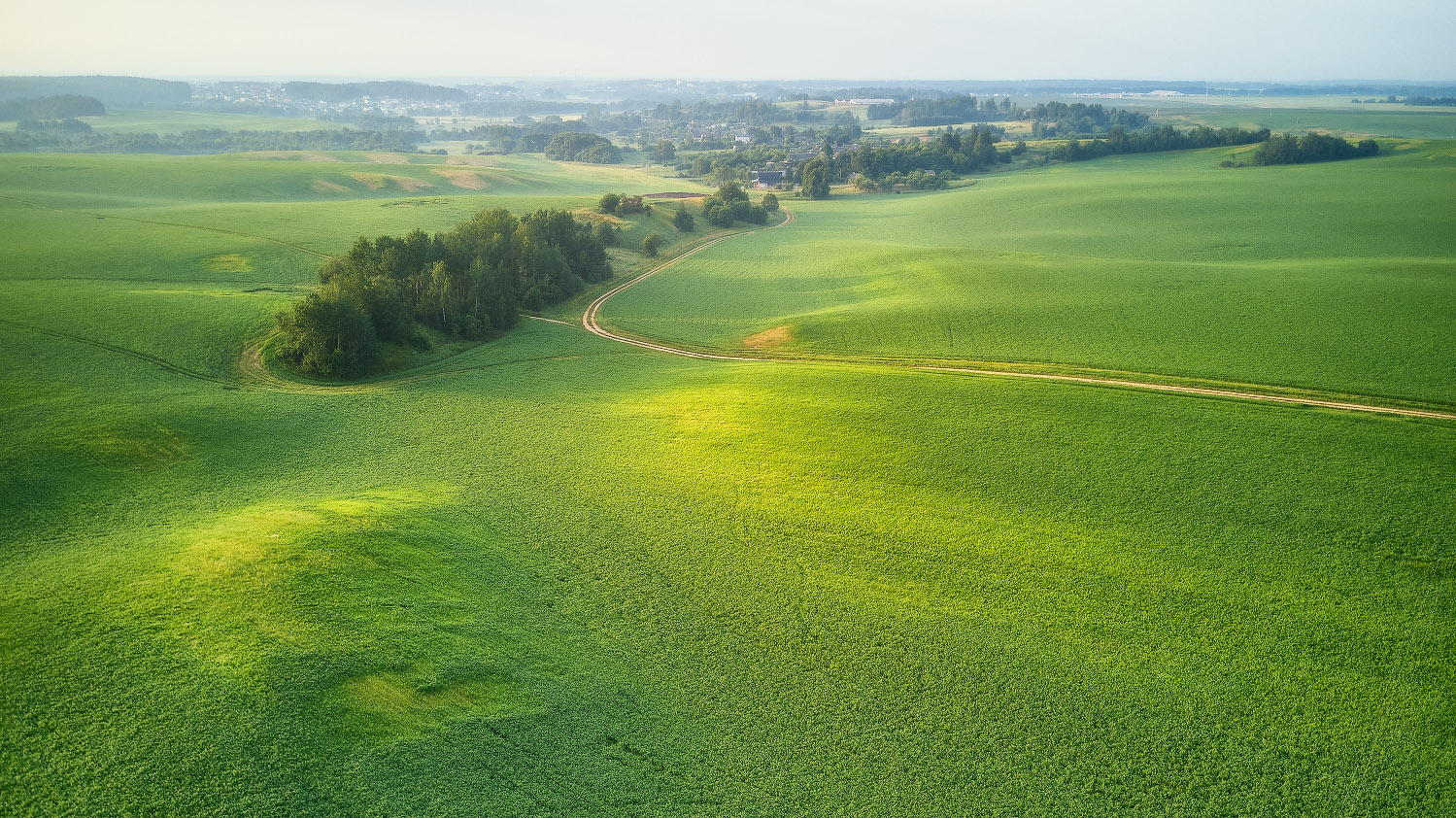 Зеленое утро