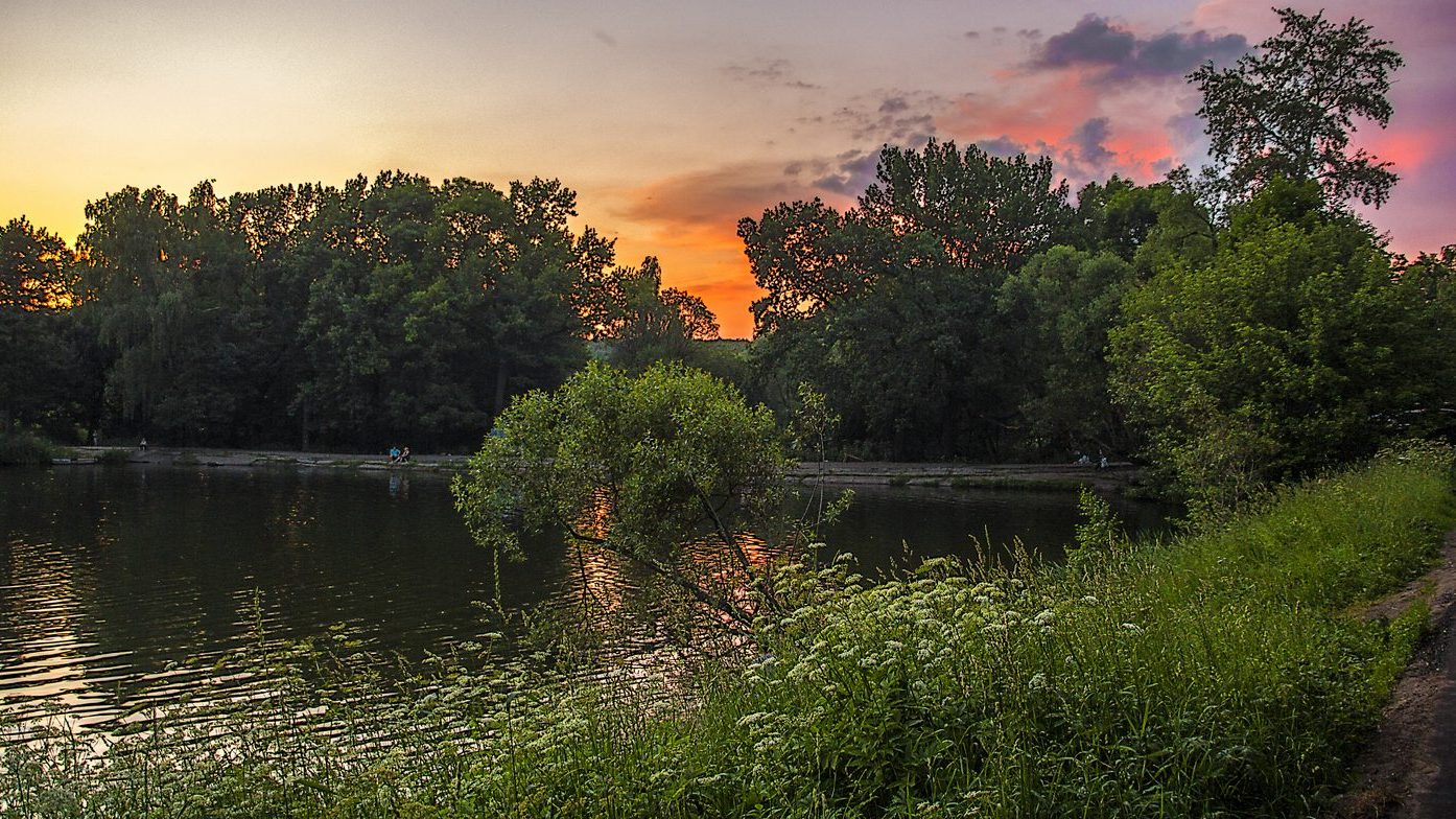 Субботний вечер.