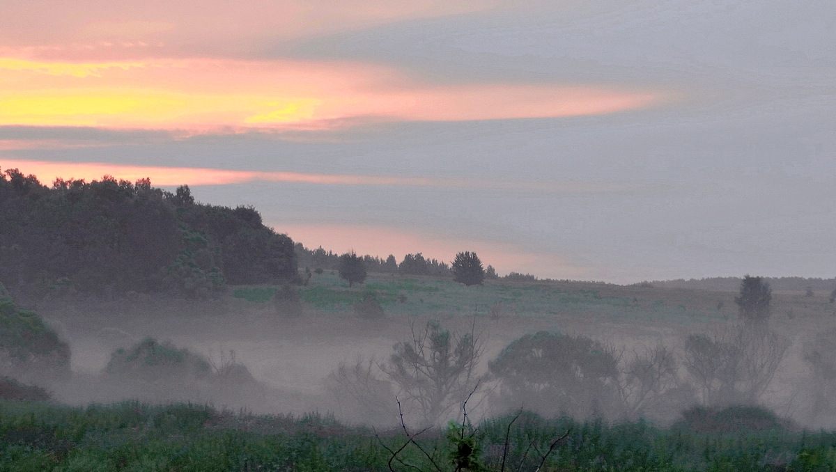 На летней утренней заре туман заполонил низины