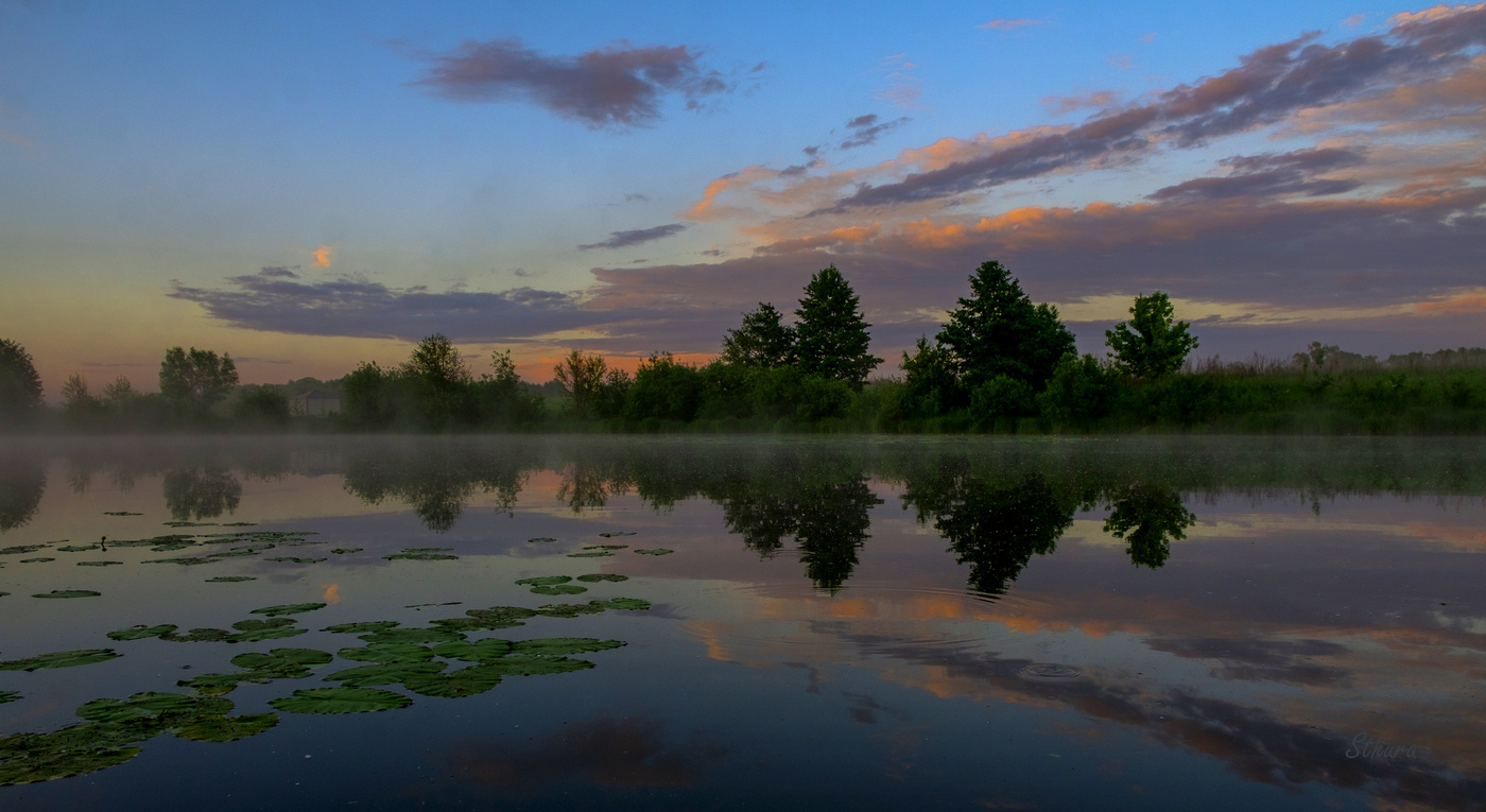 Сосновое в час рассвета.