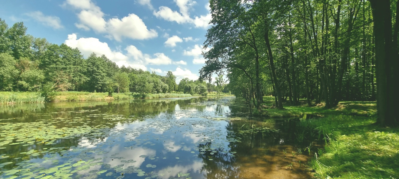 Июньский полдень...