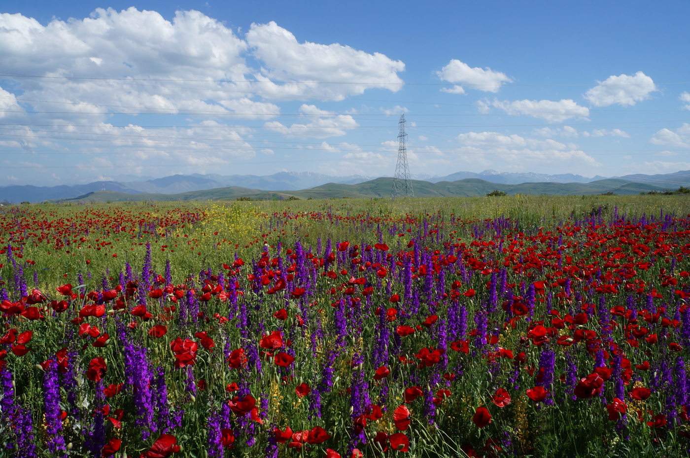 Армянское высокогорье