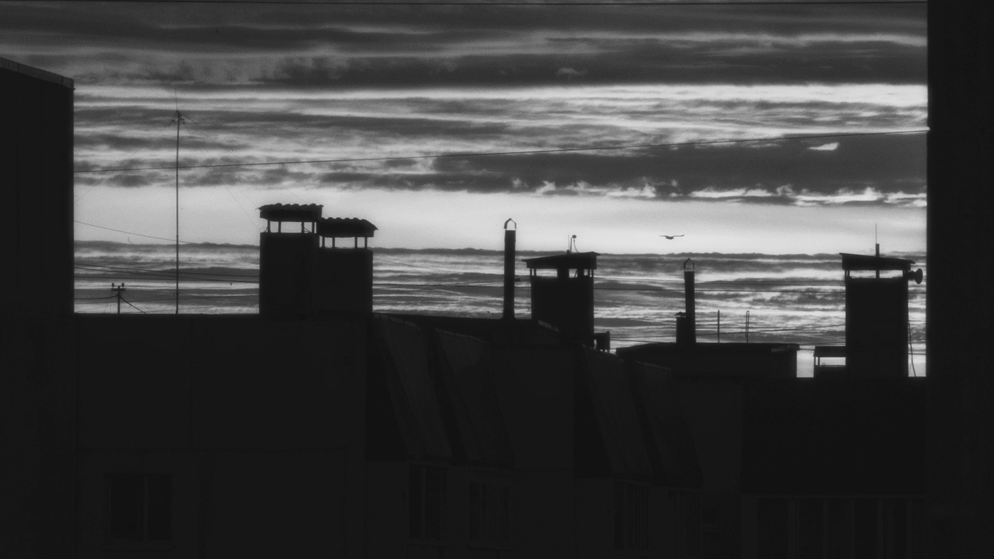 Буревестник