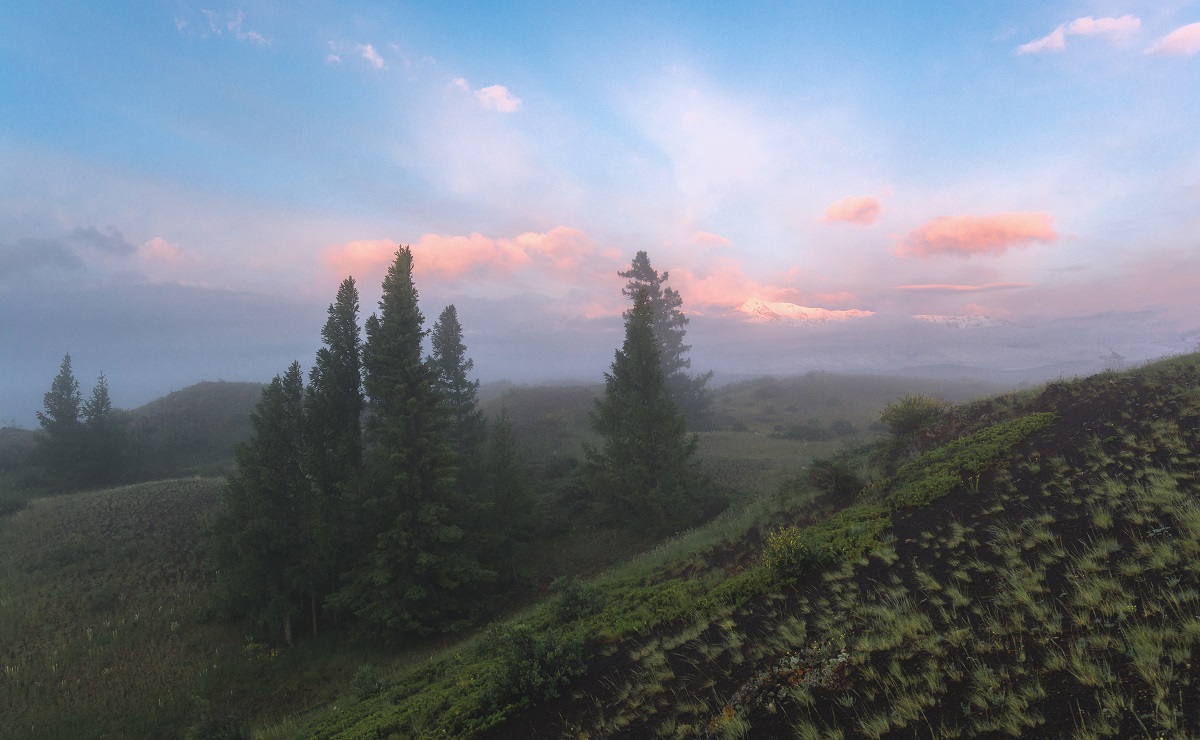 В горах Алтая