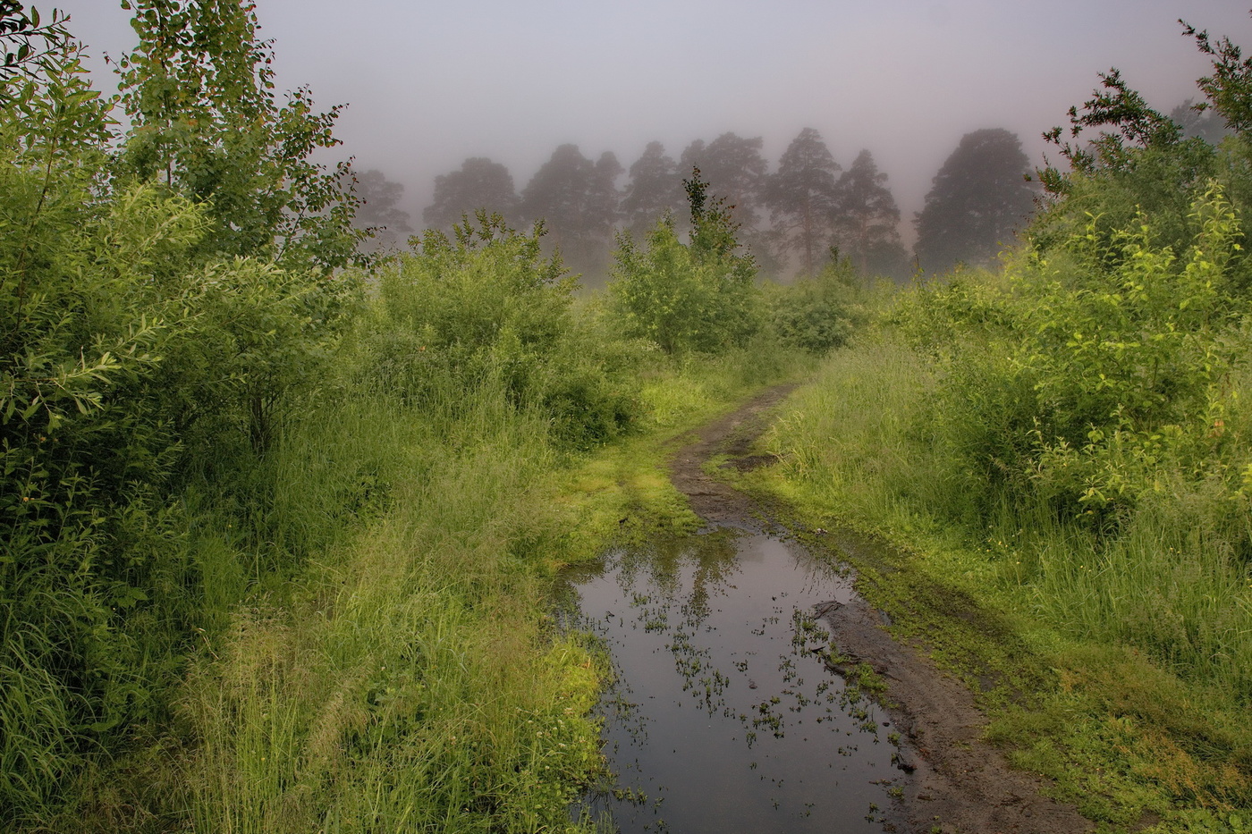 **Летнее утро.*