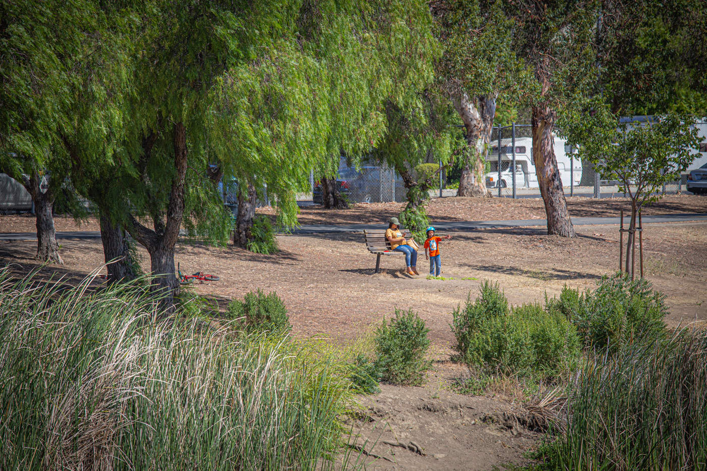 В старом парке