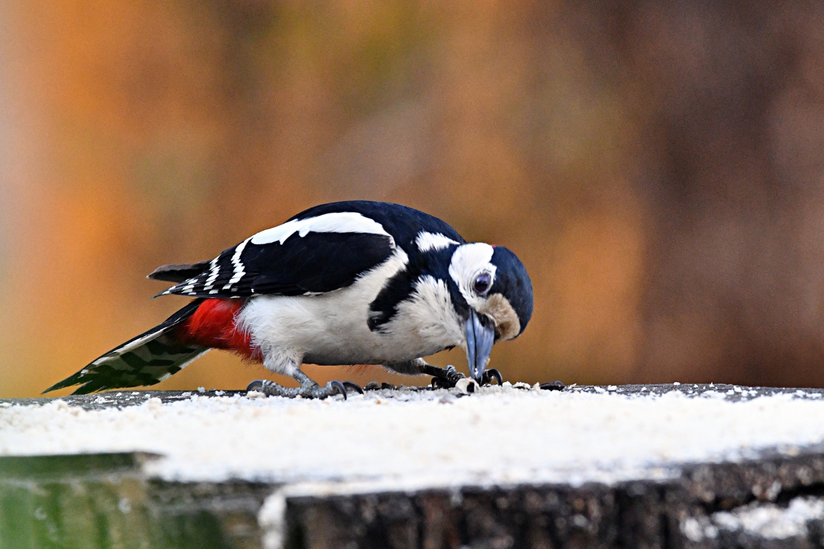 А кушать хочется всегда...