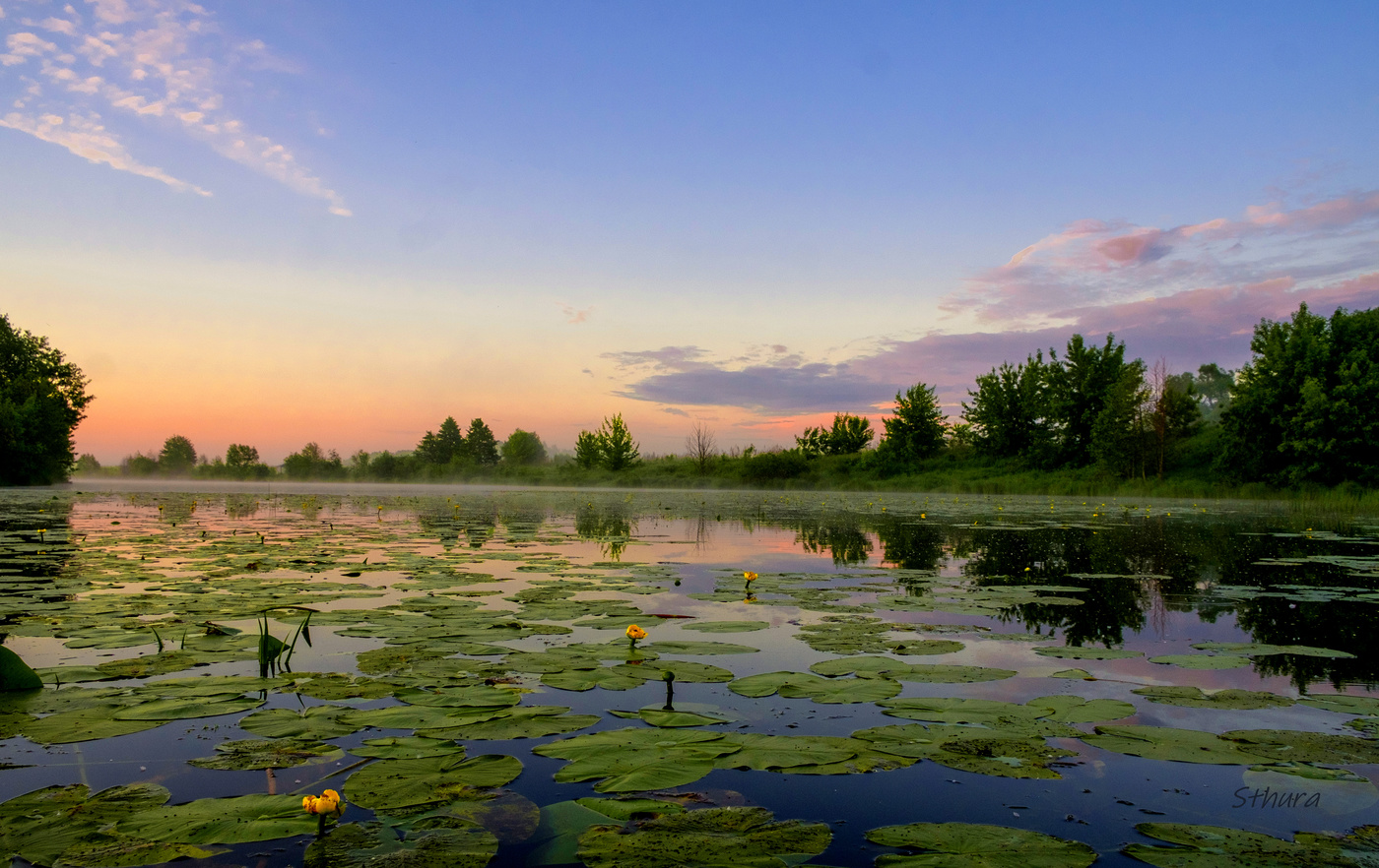Летнее утро.