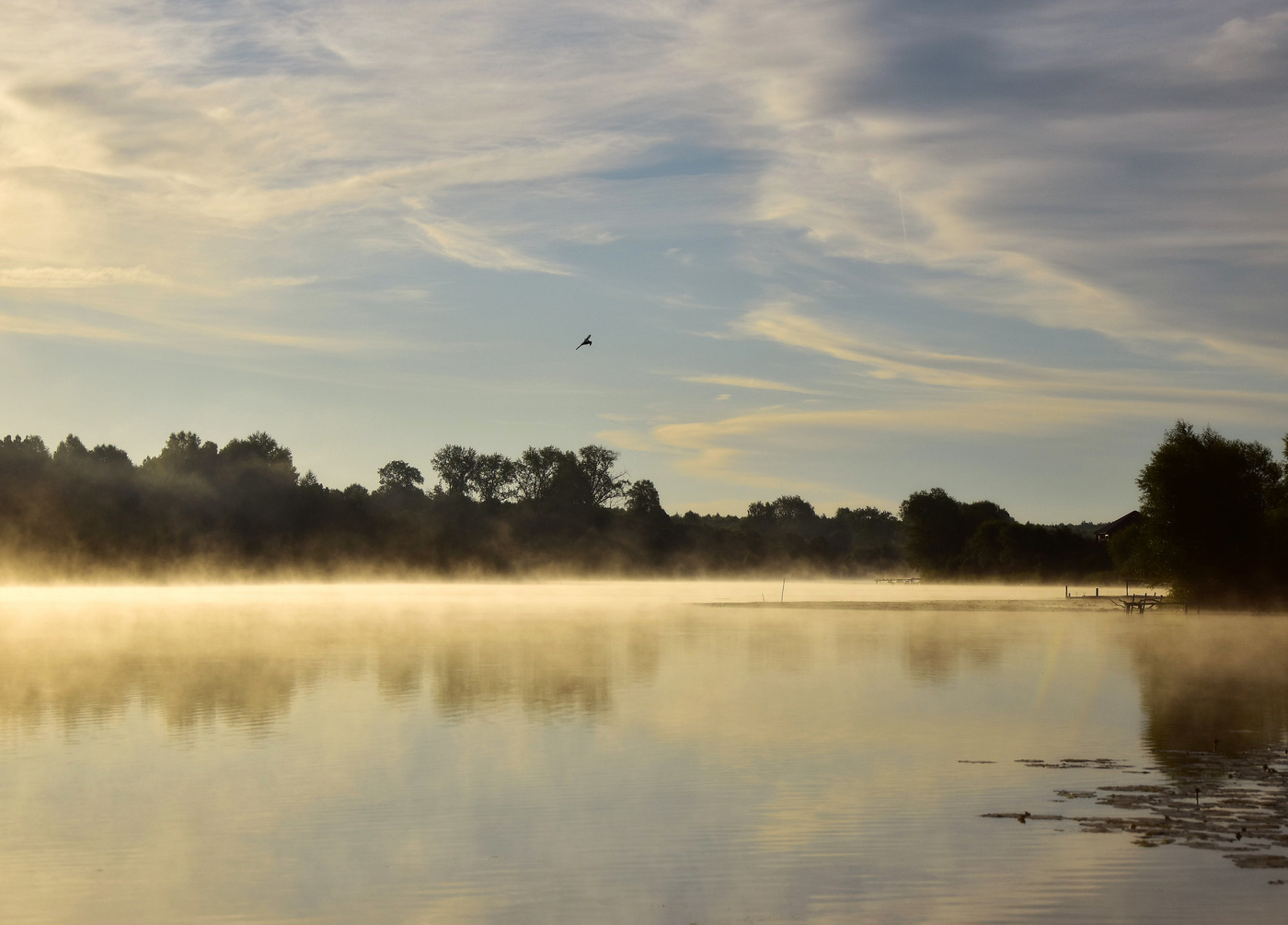 Нарисованное утро....