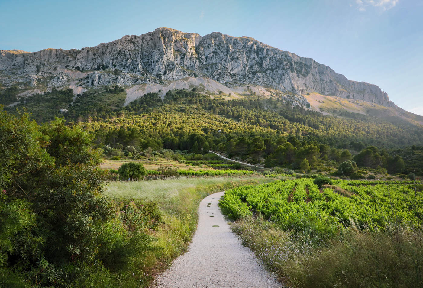 Начало пути