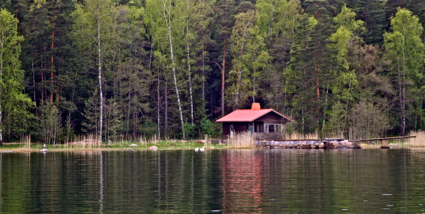 У тихой воды