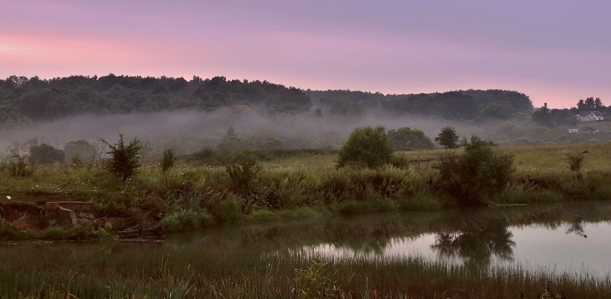 На рассвете туман выползает из леса