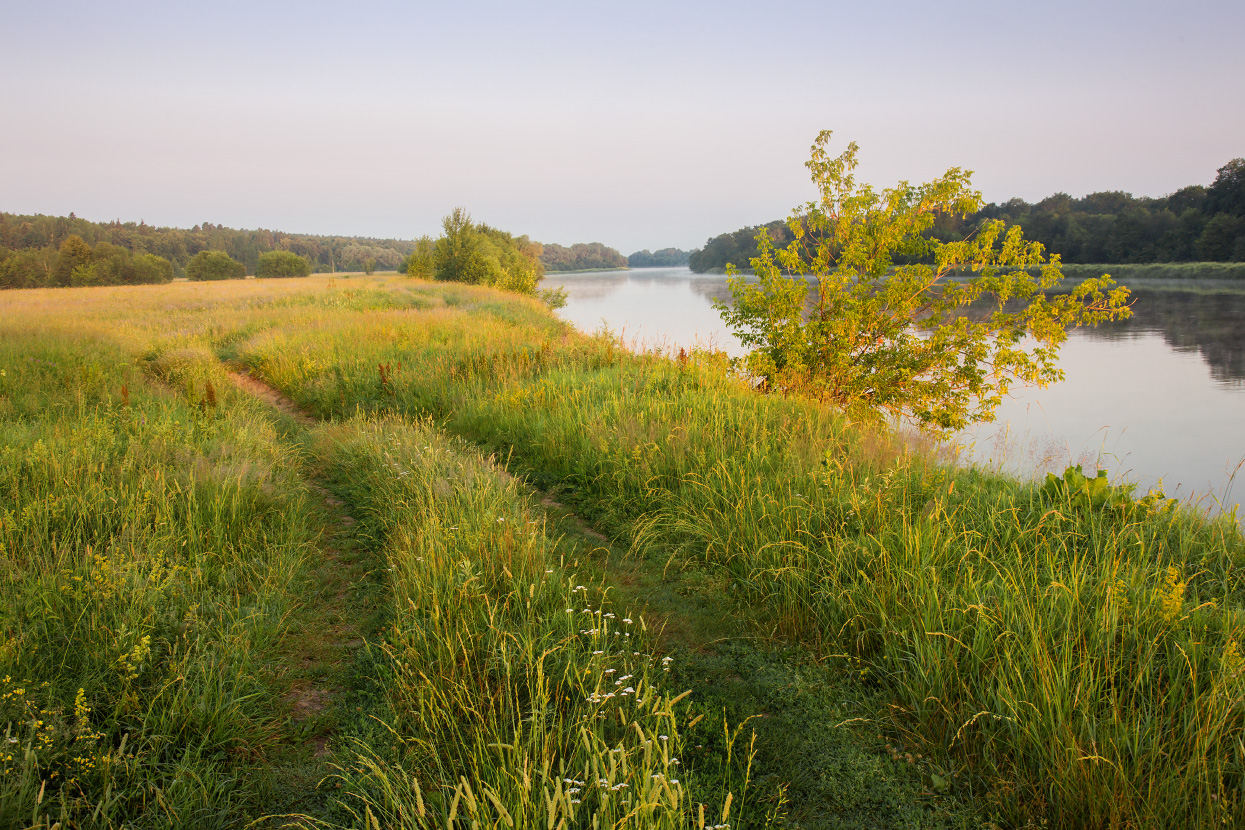 Утром вдоль Клязьмы.