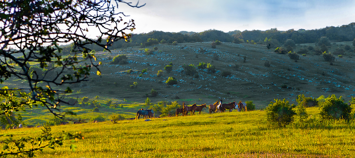 Уголок природы