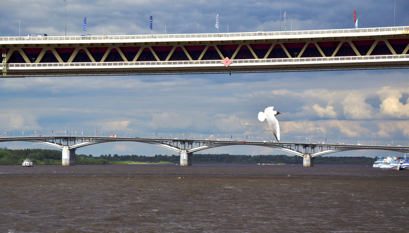 Неспокойно на Оке...