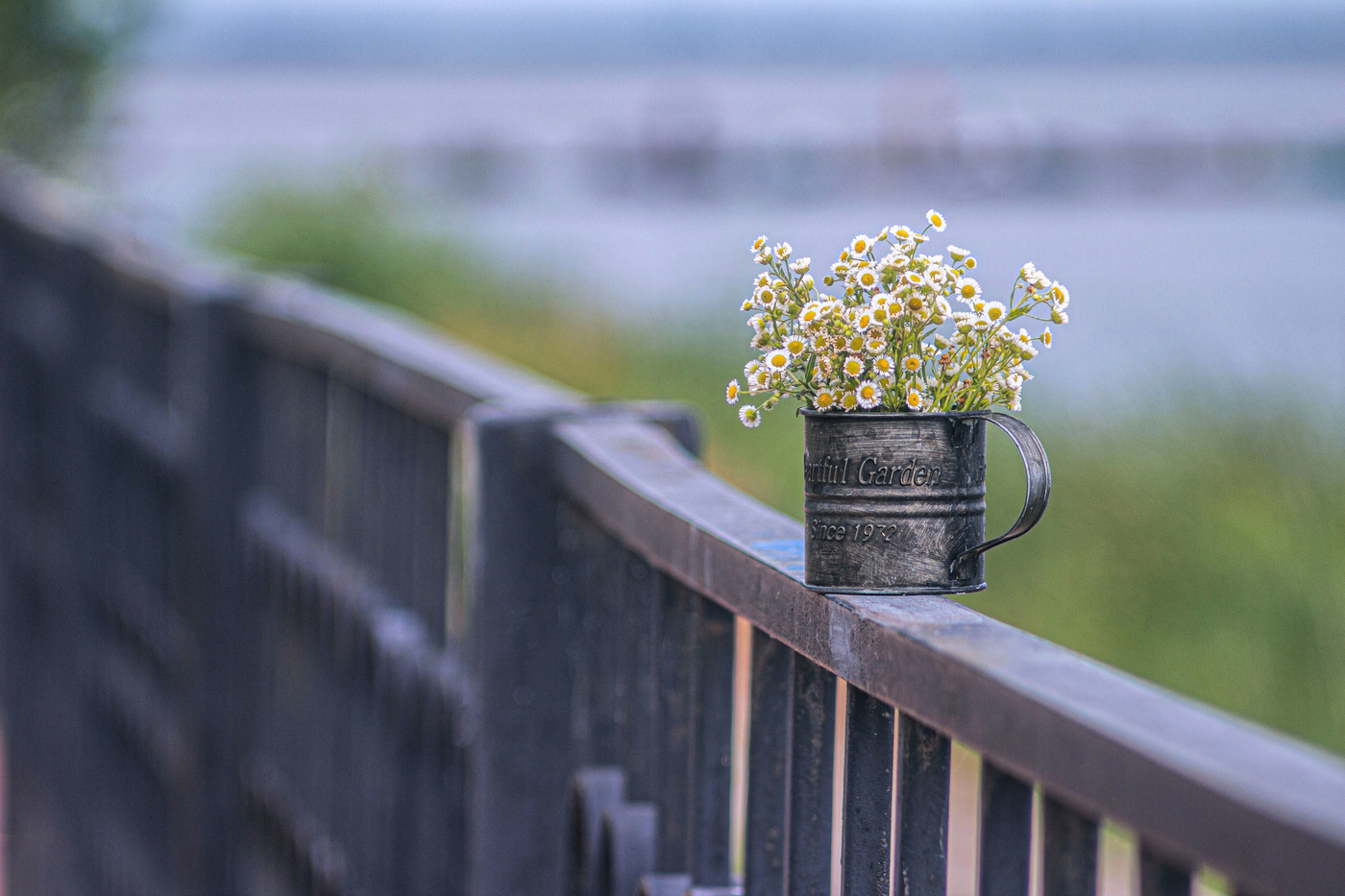 Лето, июль...