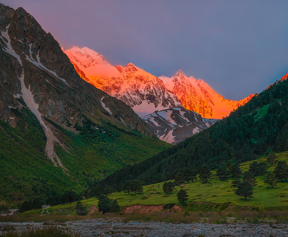 Золотые горы