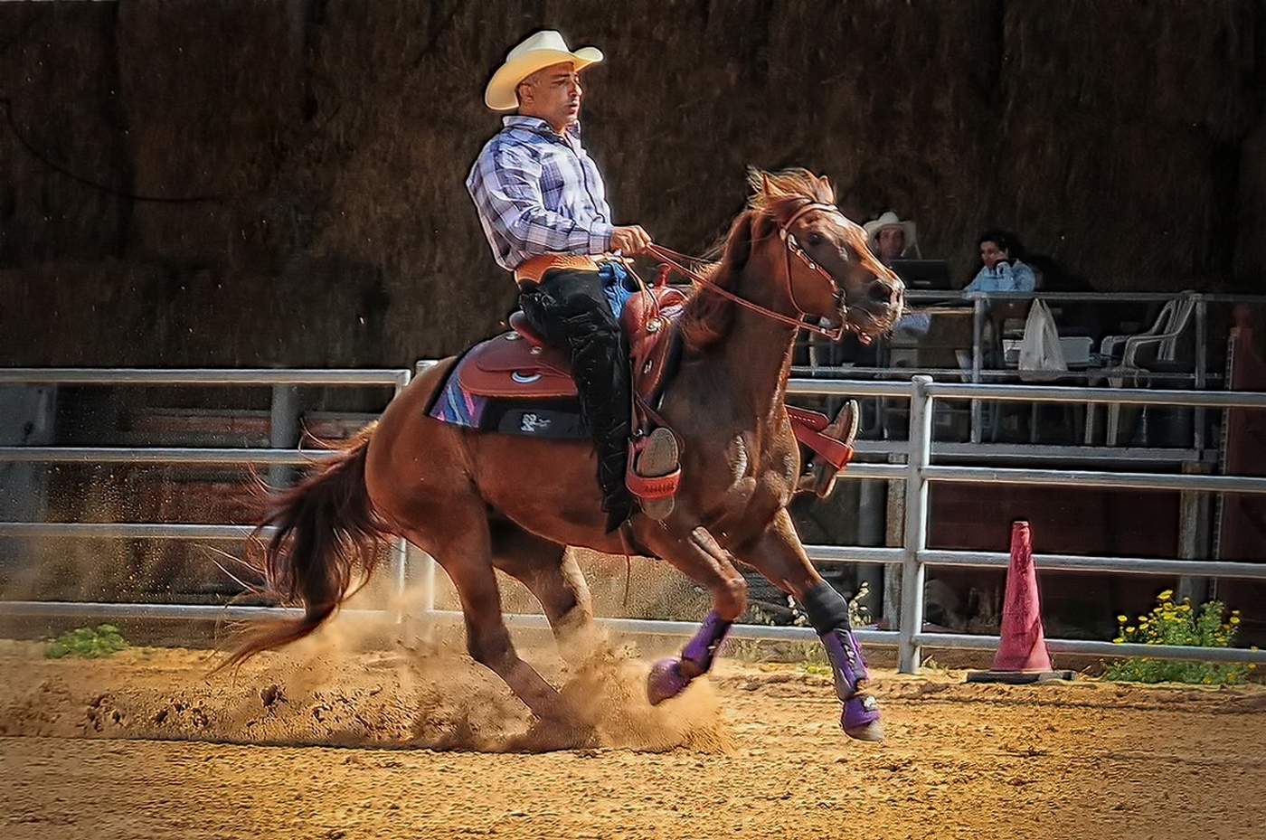 Про ковбоев и лошадок