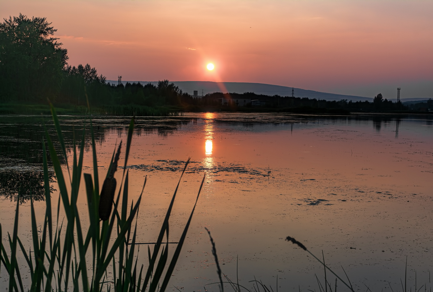 Летний вечер