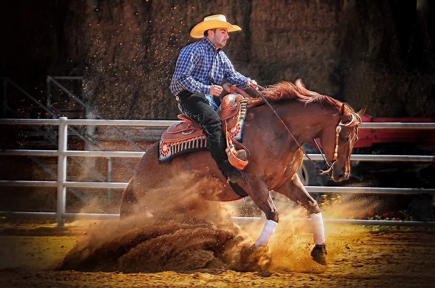 Про ковбоев и лошадок