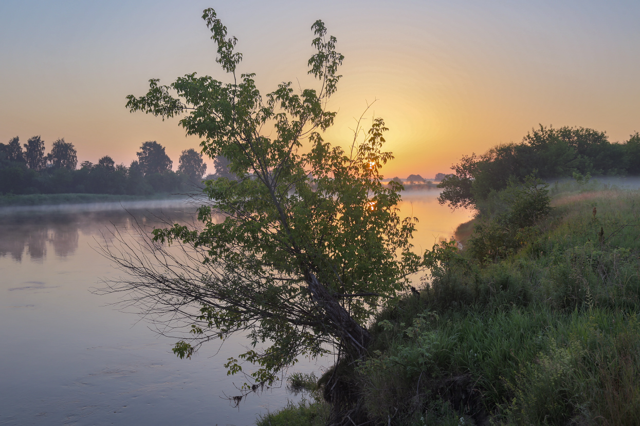 Встречая рассвет. Кмязьма.