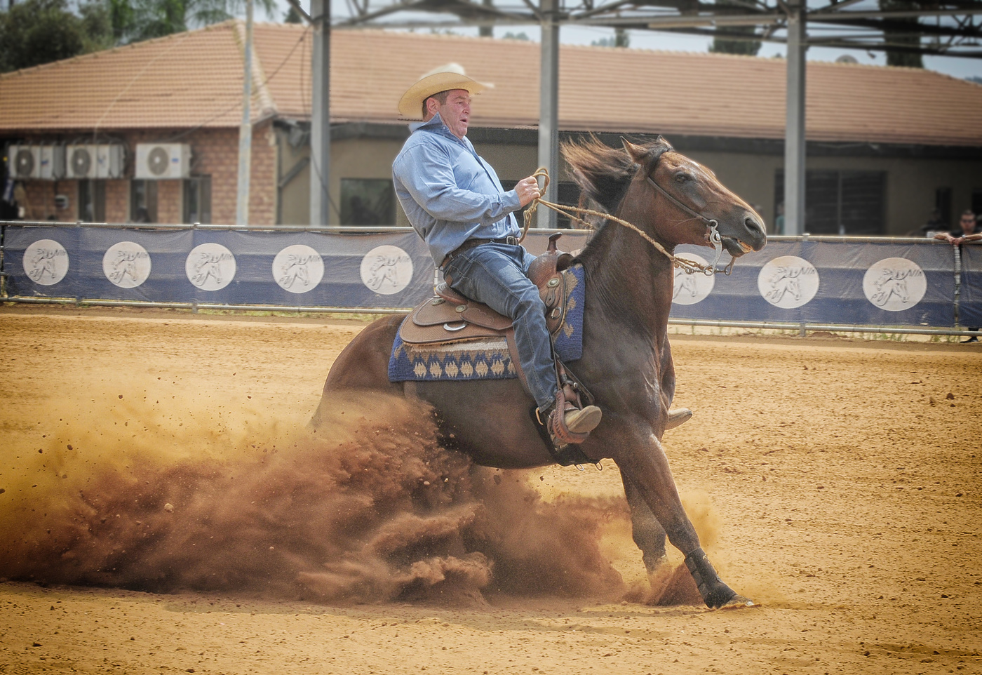 Про ковбоев и лошадок