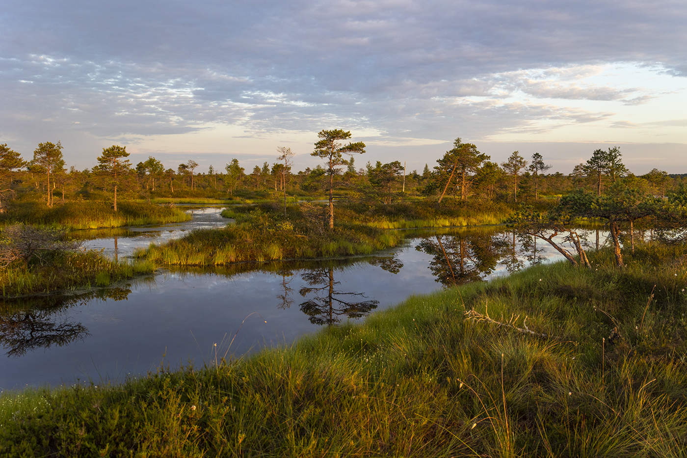 На рассвете