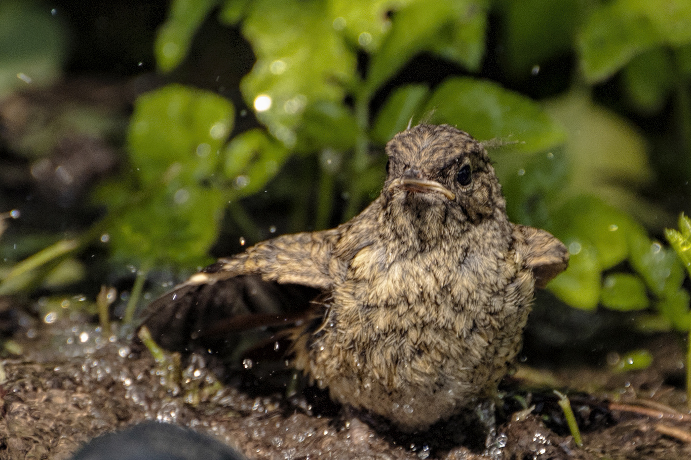 водные процедуры
